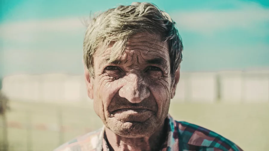 What’s Happening in the Field? This Post Will Tell You